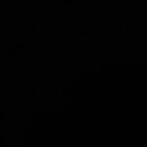 Meet your Posher, Camille